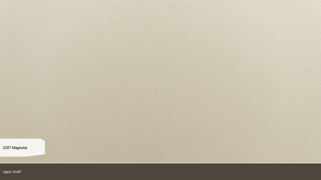 2207 Magnolia