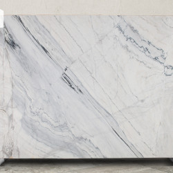 Calacatta Persian White