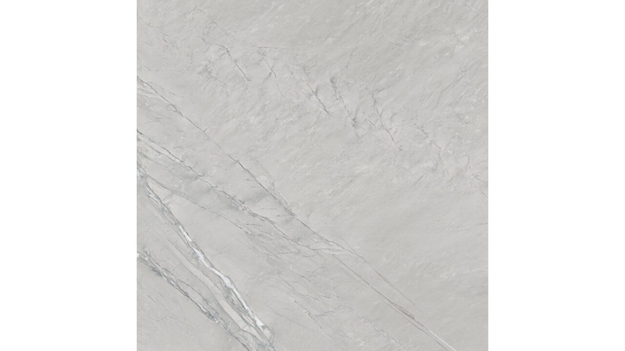 Cardosia: Grey