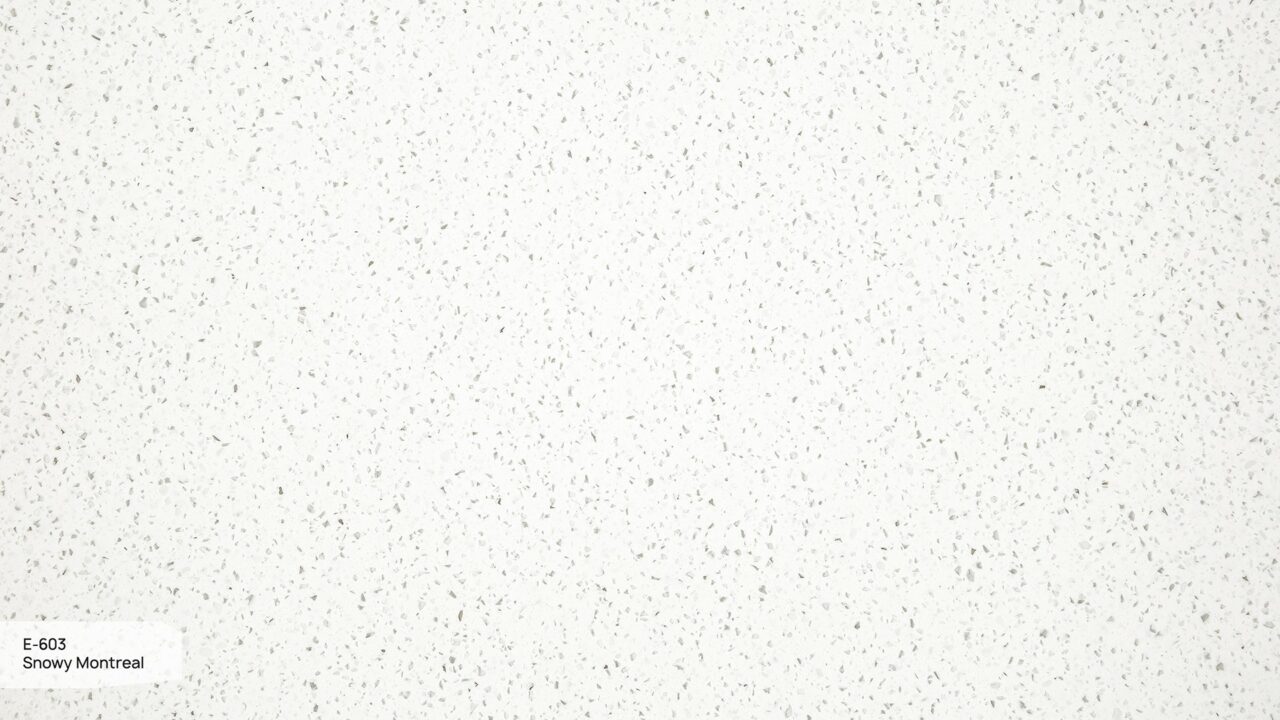 E-603 Snowy Montreal