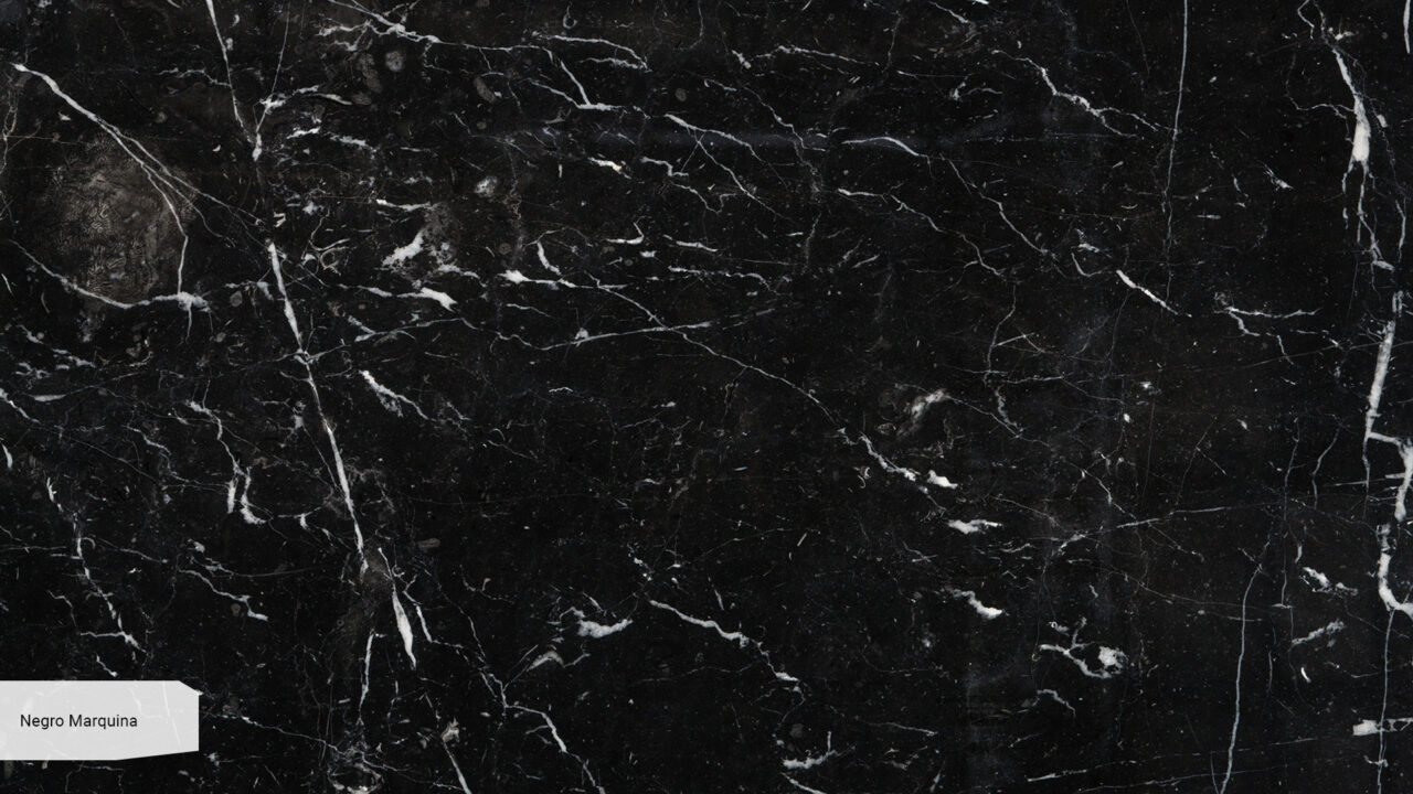 Negro Marquino
