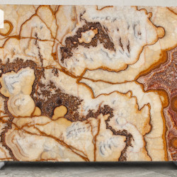 Onyx Fantasia