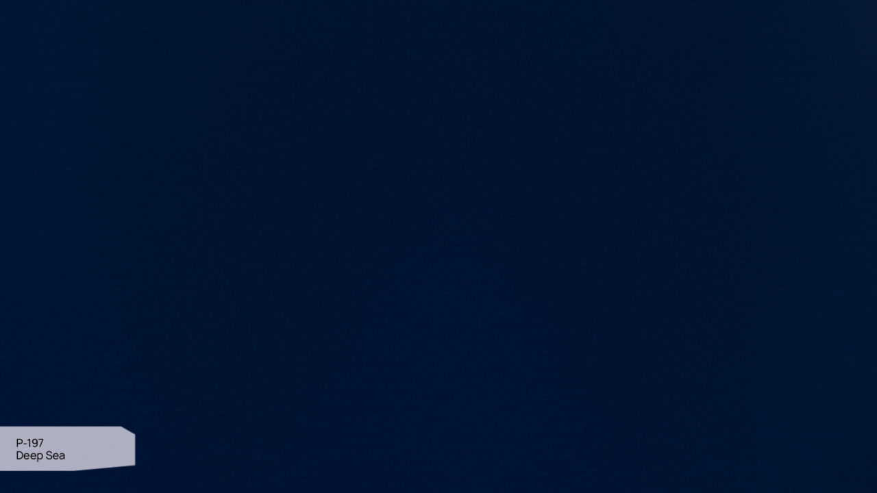 P-197 Deep Sea