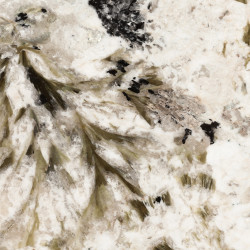 Patagonia White