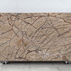 Rainforest Brown
