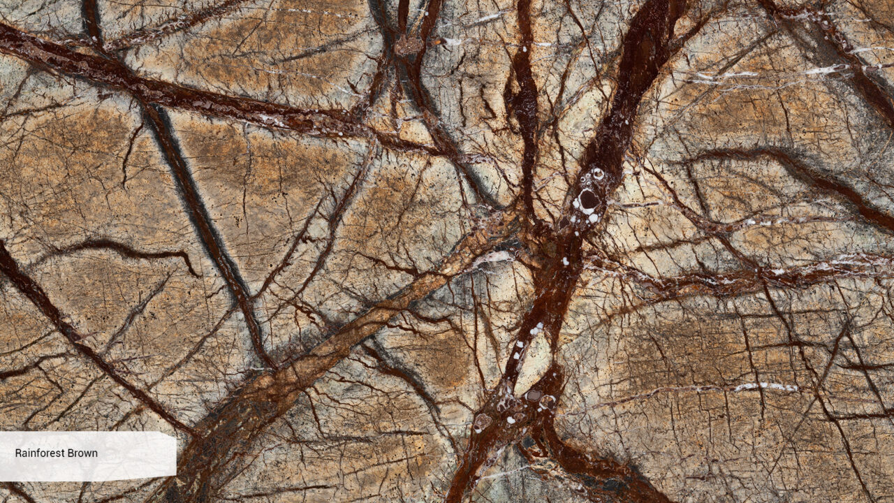 Rainforest Brown