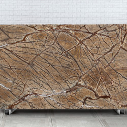 Rainforest Brown