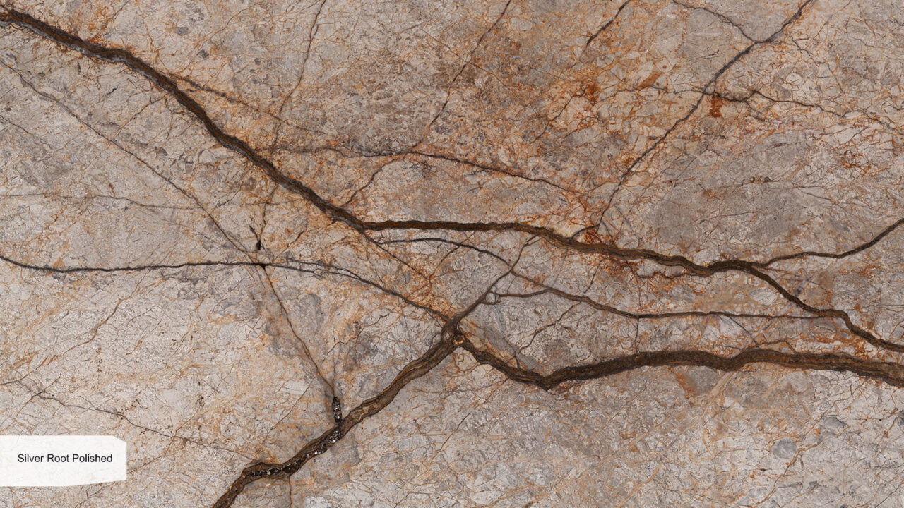 Silver Root Polished