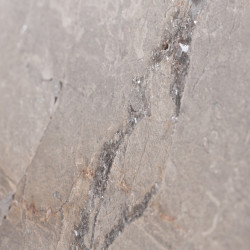 Silver Root