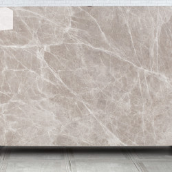 Spider Grey