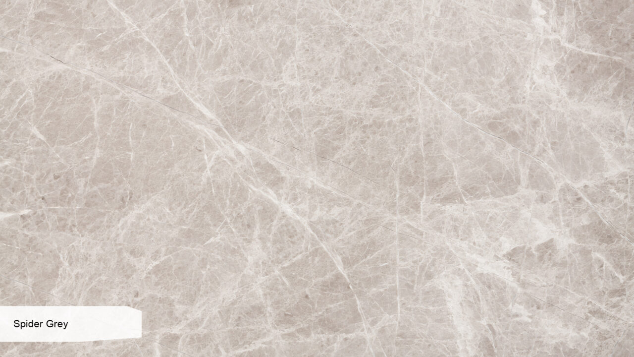 Spider Grey