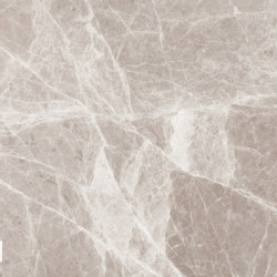 Spider Grey