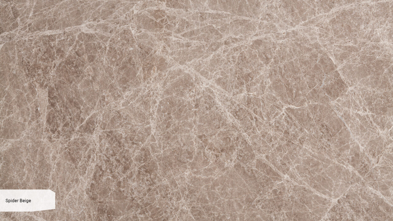 Spider Beige