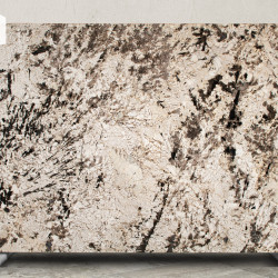 Splendor White