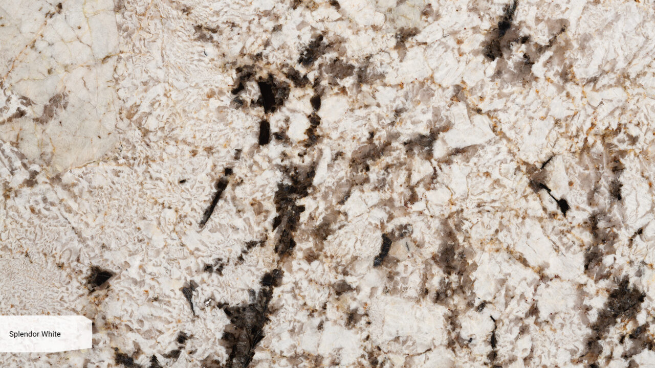 Splendor White