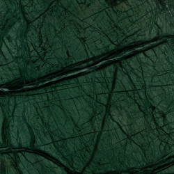 Verde Guatemala