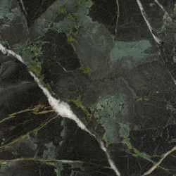 Verde Snake