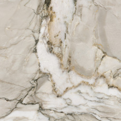 Apollo White