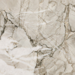 Apollo White