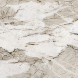 Apollo White