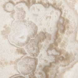 Onyx Cream Ivory